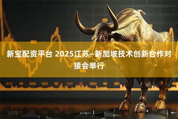 新宝配资平台 2025江苏—新加坡技术创新合作对接会举行