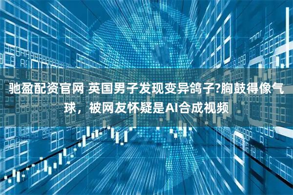 驰盈配资官网 英国男子发现变异鸽子?胸鼓得像气球，被网友怀疑是AI合成视频