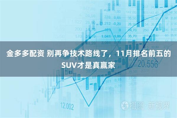 金多多配资 别再争技术路线了，11月排名前五的SUV才是真赢家