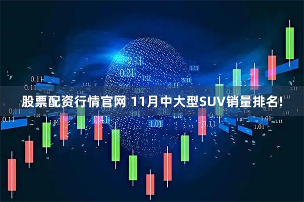 股票配资行情官网 11月中大型SUV销量排名!