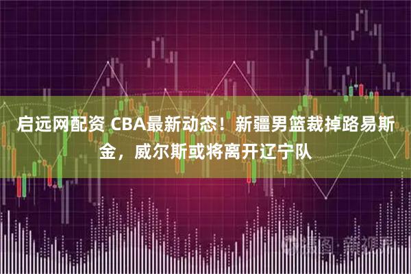 启远网配资 CBA最新动态！新疆男篮裁掉路易斯金，威尔斯或将离开辽宁队