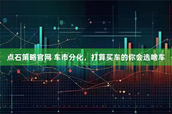 点石策略官网 车市分化，打算买车的你会选啥车