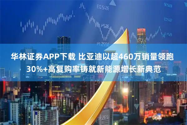 华林证券APP下载 比亚迪以超460万销量领跑 30%+高复购率铸就新能源增长新典范